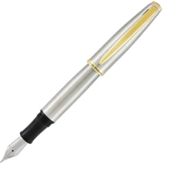 Coupon 🥰 Monteverde Aldo Domani Brushed Steel Fountain Pen 🛒
