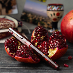 Monteverde Shop -Monteverde Shop f55fc021 fce8 5803 a8f1 2477707ae021 1800x1800