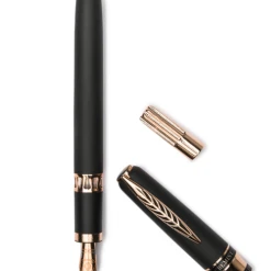 Best deal โ Pineider Alchemist Zeolite Fountain Pen, Stromboli Black, Fine 14K Nib โญ